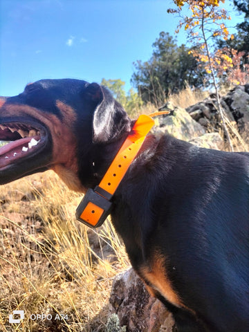 Yohji 122T şoklu gps sim kartlı köpek takip cihazı sesli arama Yohji 122T şoklu gps sim kartlı köpek takip cihazı sesli arama