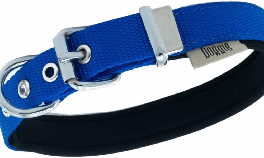 Tasma Doggie Konforlu Dokuma El Yapımı Kemik Süslü Köpek tasma 2x35-40 cm ...