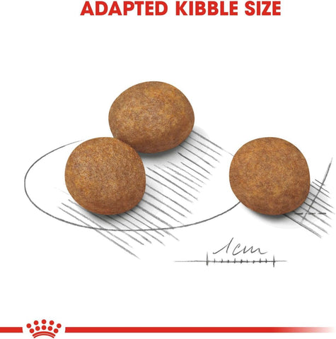 Royal Canin maxi puppy Büyük Irk Yavru Köpek Maması 15 kg yaş mama hediyeli