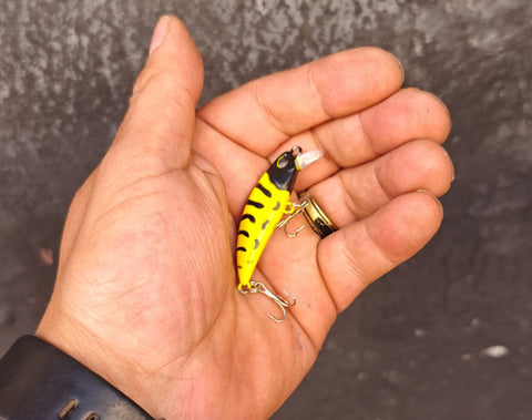ECOTACKLE Cervantes 50S Arı 5cm 4.5gr LRF Maket Yem