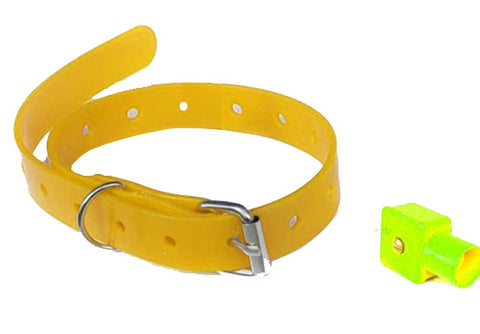 Beeper köpek tasma kayışı