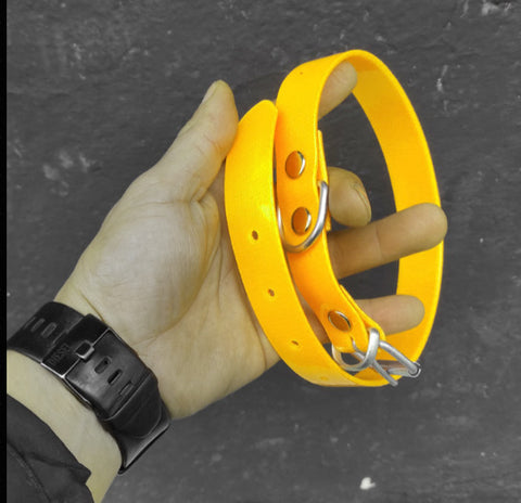 Beeper köpek tasma kayışı