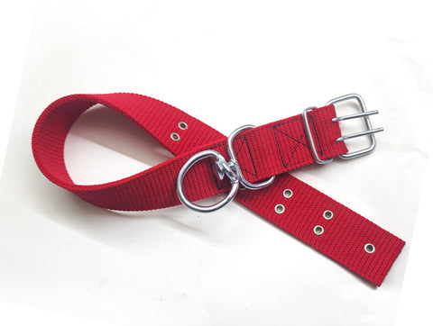 Çift Delikli Büyük Boy Köpek tasması 77 cm