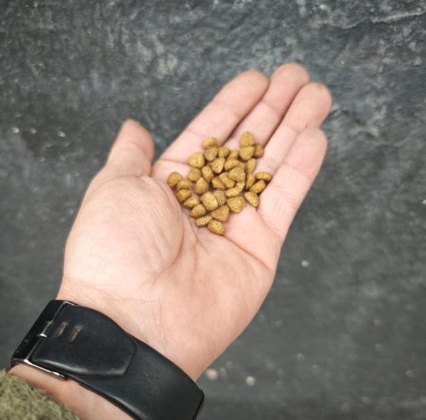 mahmutogluav av malzemeleri Famsy Yetişkin Kedi Maması Tavuklu 15 Kg ürün görseli