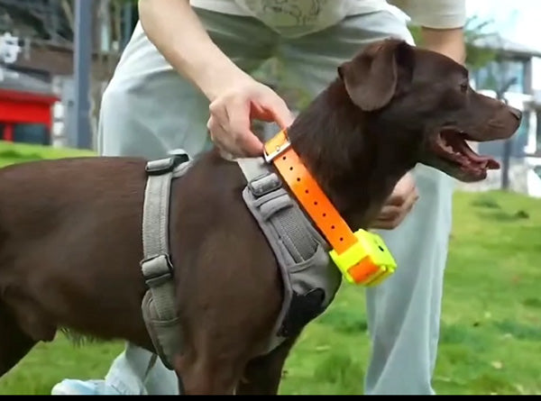 mahmutogluav av malzemeleri Yohji 122T şoklu gps sim kartlı köpek takip cihazı ürün görseli