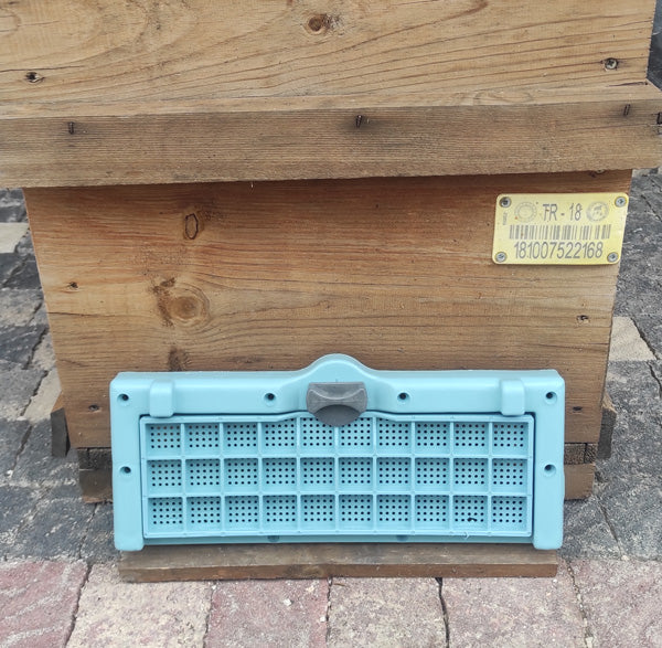 Plastik sürgülü uçuş tahtası mavi 34 x 13 cm