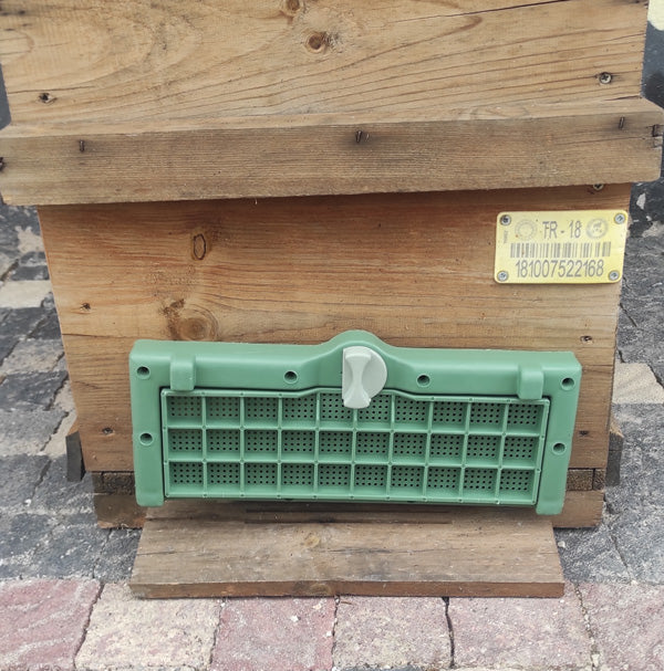 Plastik sürgülü uçuş tahtası yeşil 34 x 13 cm