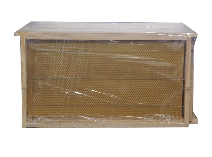 mahmutogluav av malzemeleri Petek bağlanmış hazır 24'lük arı çıtası 24x47 cm 10 adet ürün görseli