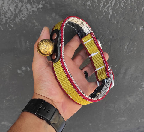 Tongurdak zilli köpek tasması 52 cm gold