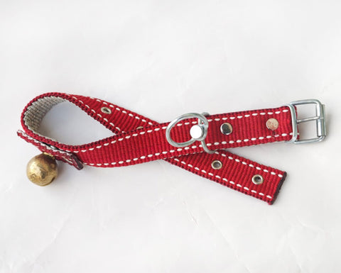 Tongurdak zilli köpek tasması 52 cm