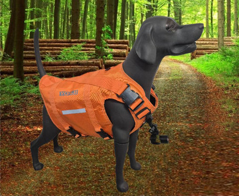 Yohji Profesyonel Köpek yeleği