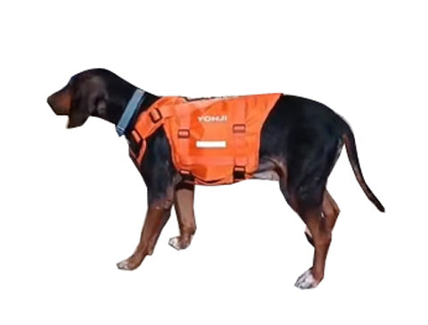 Yohji Profesyonel Köpek yeleği