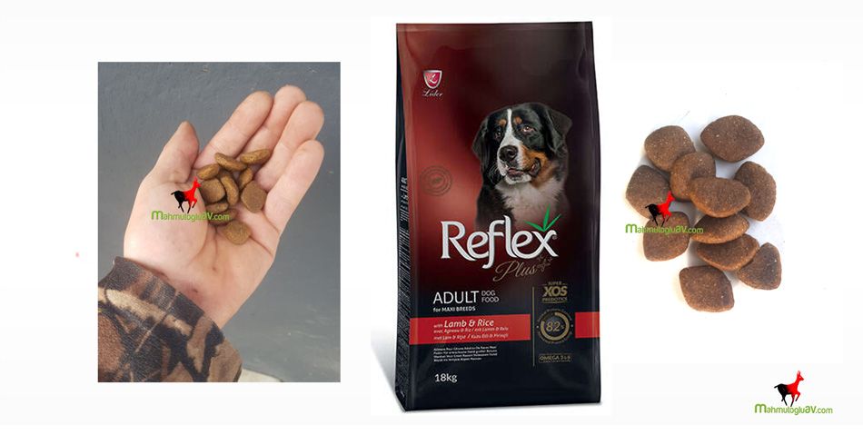 Reflex plus maxi adult dog kuzulu köpek maması 18 kg