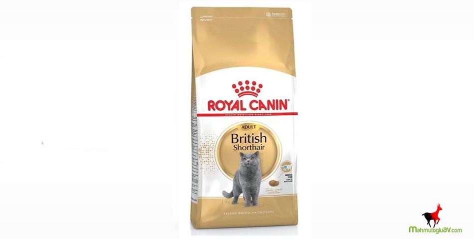 Royal Canin British Shorthair Kedi Maması 4 Kg