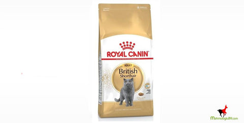 Royal Canin British Shorthair Kedi Maması 4 Kg