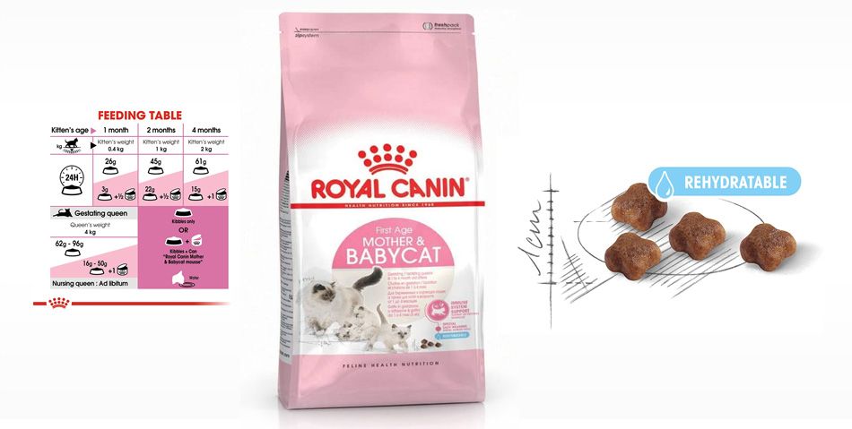 Royal Canin Mother Babycat kedi maması 4 Kg